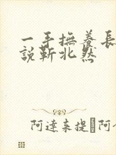 一手抚养长大小说靳北然