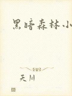 黑暗森林小说