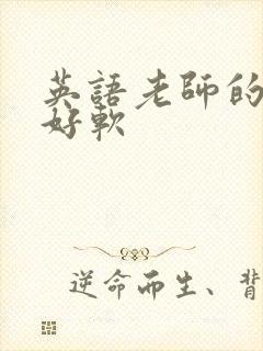 英语老师的兔子好软