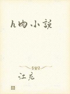 h肉小说