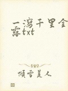 一泻千里金银花露txt