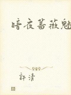 暗夜蔷薇魅封面