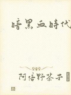 暗黑血时代封面