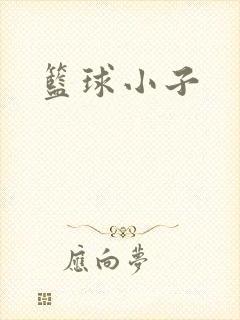 篮球小子