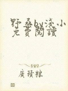 野桑by浅小说免费阅读