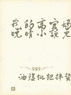 我的高官妈妈苏晚晴小说免费阅读