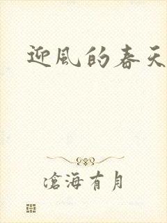 迎风的春天封面