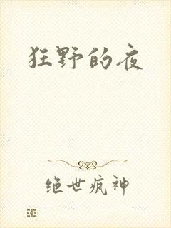 狂野的夜