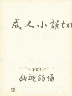 成人小说txt