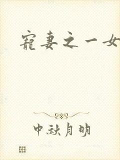 宠妻之一女二夫