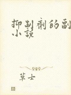 抑制剂的副作用小说封面