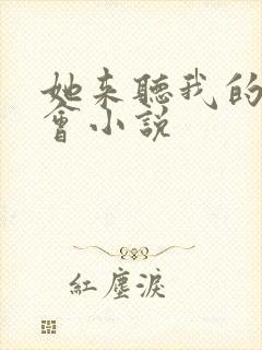 她来听我的演唱会小说