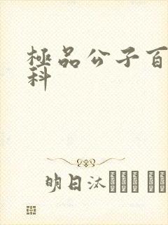 极品公子百度百科封面