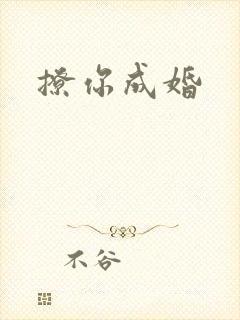 撩你成婚封面