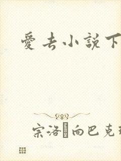 爱去小说下载网