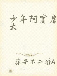 少年阿宾房东太太