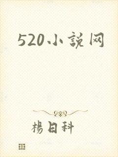 520小说网