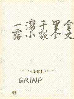 一泻千里金银花露小说全文免费阅读