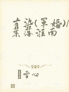 有染(军婚)/叶落淮南封面