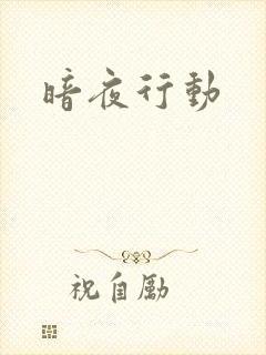 暗夜行动