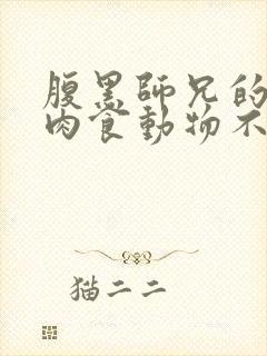 腹黑师兄的日常肉食动物不食草封面