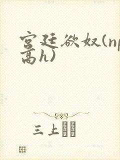 宫廷欲奴(np高h)