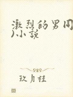 激烈的男同(h)小说