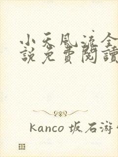 小天风流全集小说免费阅读