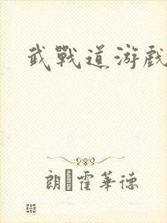 武战道游戏