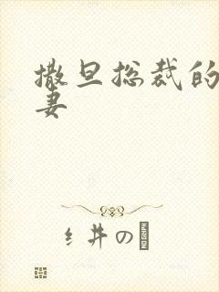 撒旦总裁的下堂妻封面