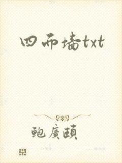 四面墙txt
