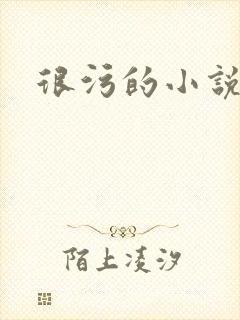 很污的小说封面