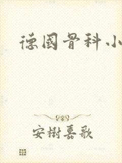 德国骨科小说封面