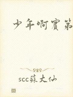 少年啊宾第二部