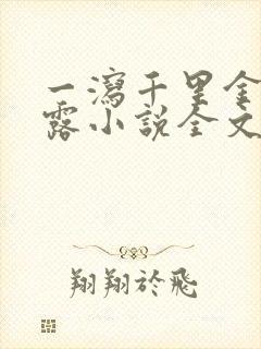 一泻千里金银花露小说全文免费阅读