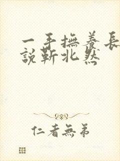 一手抚养长大小说靳北然封面