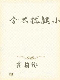 合不拢腿小说