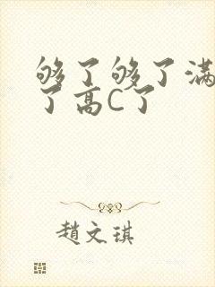够了够了满到C了高C了封面