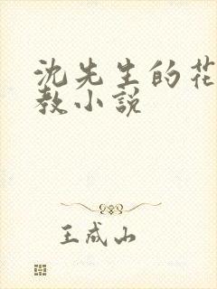 沈先生的花式管教小说