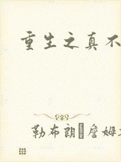 重生之真不挖煤封面