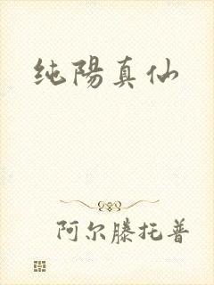 纯阳真仙