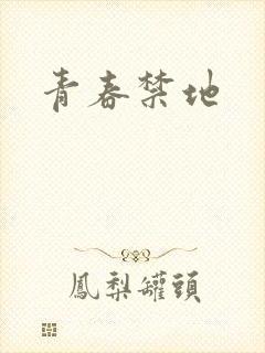青春禁地封面