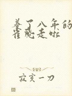 养了八年的金丝雀飞走啦