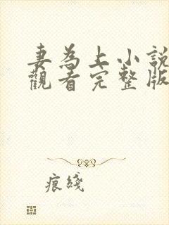 妻为上小说免费观看完整版笔趣阁