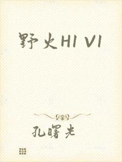 野火H1 V1封面