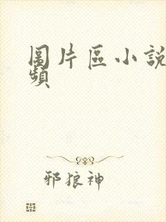 图片区小说区视频封面