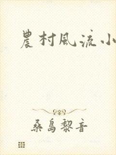 农村风流小说封面