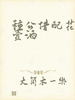 种公借配花间一壶酒