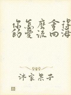 你怎么舍得让我的爱流向海