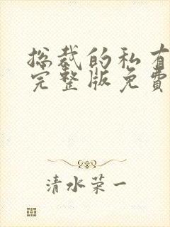 总裁的私有宝贝完整版免费阅读